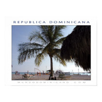 Playa posters