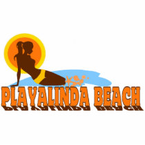 Playalinda Beach. photo sculptures