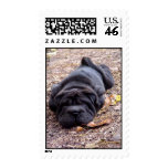 Played Out Boogie postage