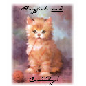 Playful and Cuddly T-Shirt by dreamingagain Playful and Cuddly T-Shirt