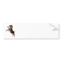 Playful Beagle Bumper Stickers