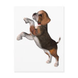 Playful Beagle Postcards