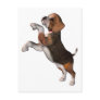 Playful Beagle Postcards
