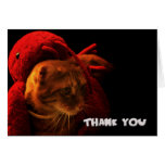 Playful Cat Thank You Card cards