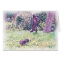 Playful Chimps cards