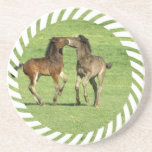 Playful Colts Coasters