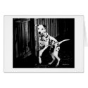 Playful Dalmatian Card