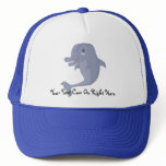 Playful Dolphin Hat