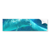 Playful Dolphins Bumper Sticker