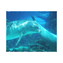 Playful Dolphins Canvas Print