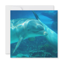 Playful Dolphins Invitations