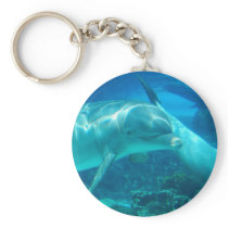 Playful Dolphins Keychain