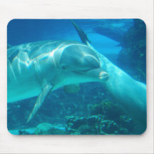 Playful Dolphins Mouse Pad