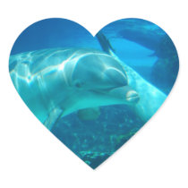 Playful Dolphins Stickers