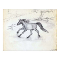 Playful Gallop posters