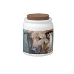 Playful German Shepherd Candy Jar