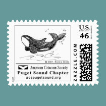 Playful Killer Whale Postage Stamp by acspugetsound Playful Killer Whale Postage Stamp