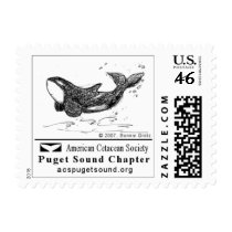 Playful Killer Whale Postage Stamp