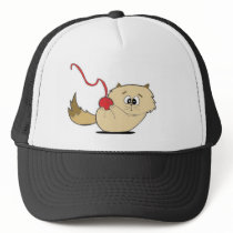 Playful Kitten hats