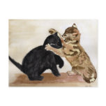 Playful Kittens Post Card