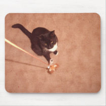 Playful kitty mousepads
