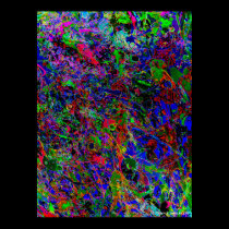 Playful Koi (Digital Alt.) - Fine Art Print posters