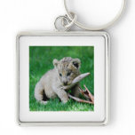Playful lion key chains