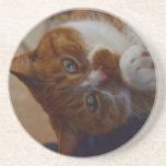 Playful Nutmeg. Beverage Coaster