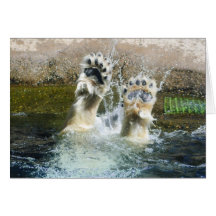 Playful Polar Bear Greeting Cards