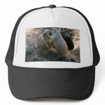 Playful Prairie Dogs hats