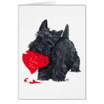Playful Scottish Terrier Valentine Card