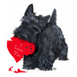 Playful Scottish Terrier Valentine t-shirts