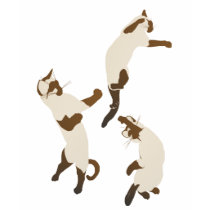 Playful Siamese T Shirts