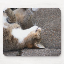 Playful Tabby Cat Mousepad