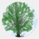 Playful tree blue sky drawing computer graphic sticker