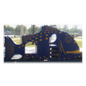 Playground Fish photo cards
