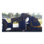 Playground Fish Photo Card