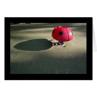 Playground for Children 30 Ladybug rocking Card