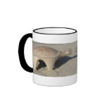 Playground Turtle mugs