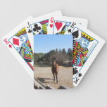 Playing Cards : Brown Horse in Los Alamos playing cards