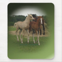 Playing Foals Crosstitched mousepads