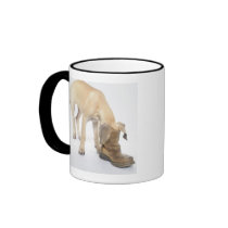 playing,friendly,curiosity mugs