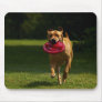 Playing Frisbee Mouse Pads