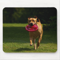 Playing Frisbee mousepads