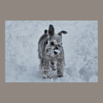 Playing in the snow posters