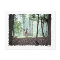 Playing in the Woods postcards