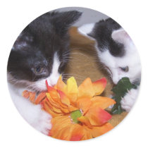 playing kitties stickers