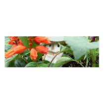 Playing Peek-A-Boo! business cards
