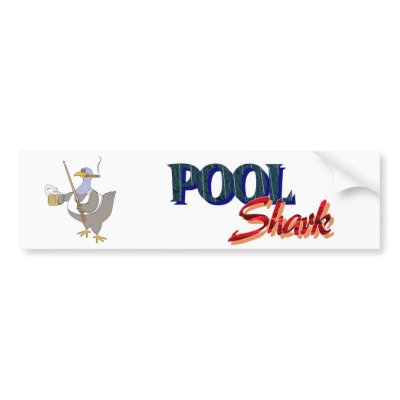 Funny Shark Sticker on Playing Pool Shark Chicken Funny Bumper Sticker From Zazzle Com