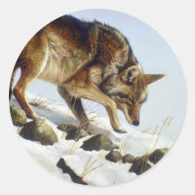 Playing possum, Coyote Stickers